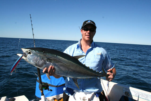 longtail on lure